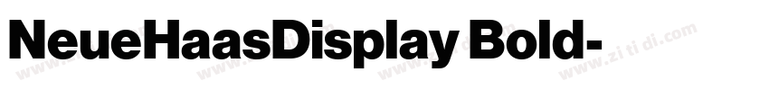 NeueHaasDisplay Bold字体转换 NeueHaasDisplay Bold字体转换